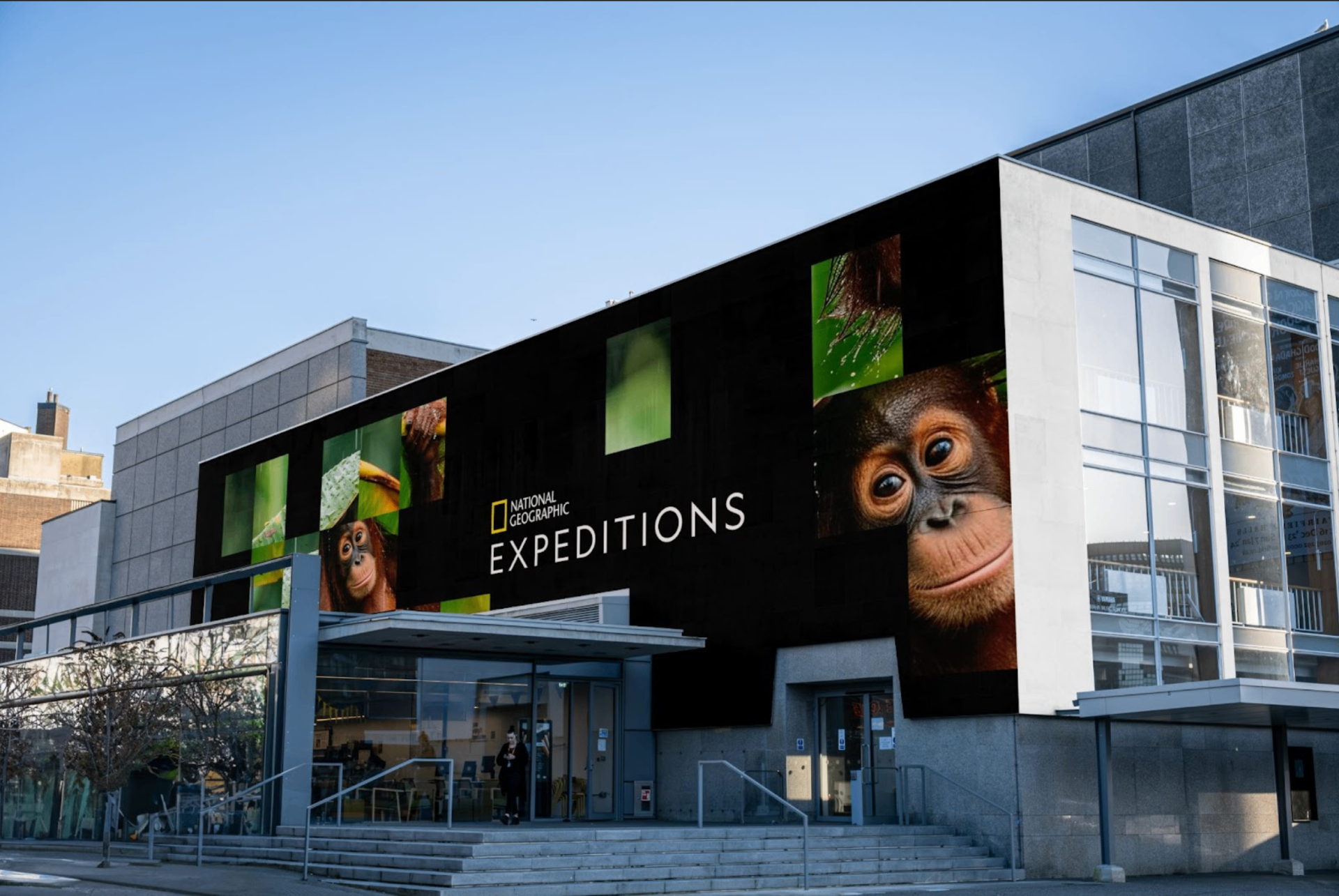 Expeditions — artifact 3