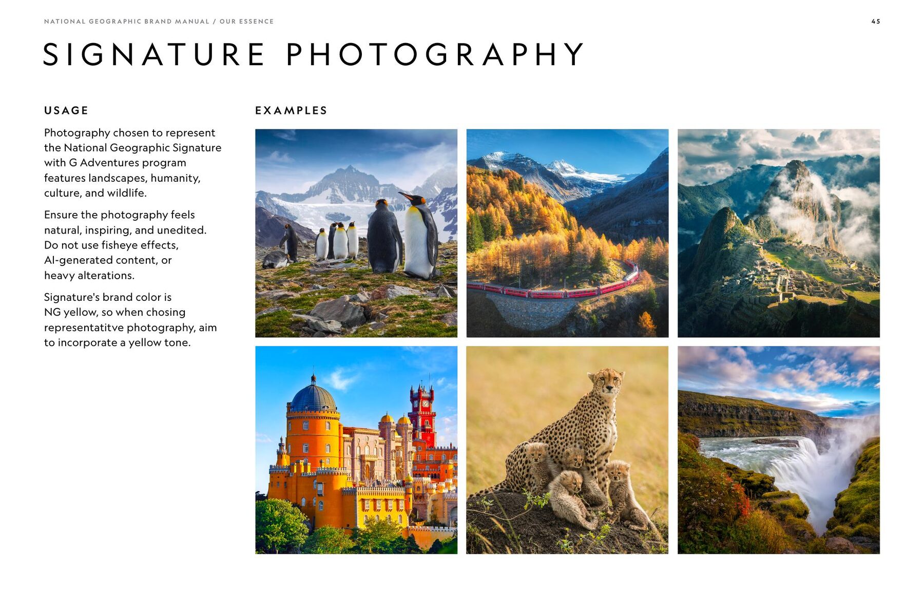 Signature expedition photography