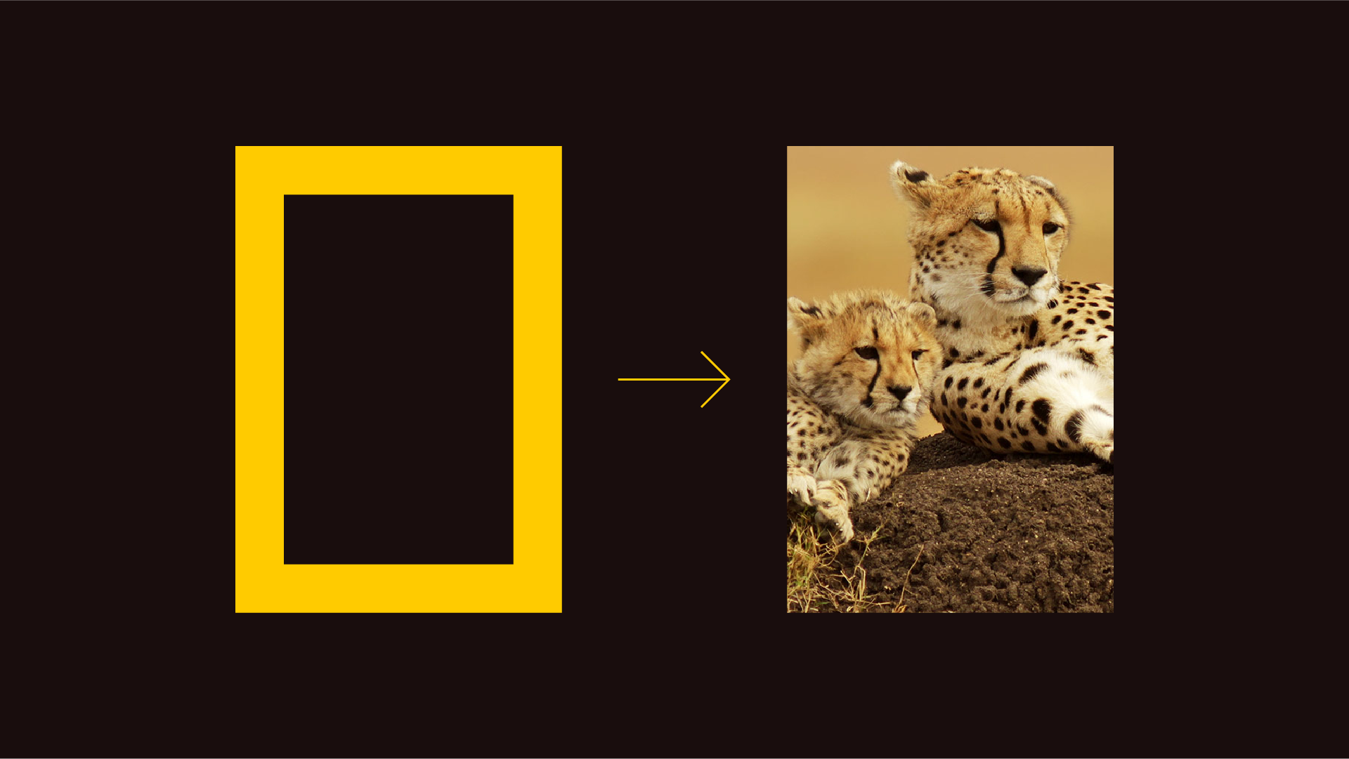 National Geographic Expeditions portal feature