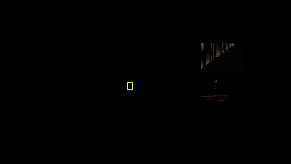 National Geographic bumpers multi show