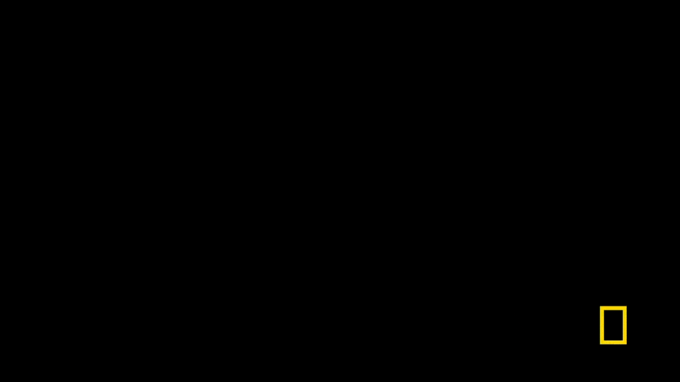 National Geographic popup class slate 5sec subtitled